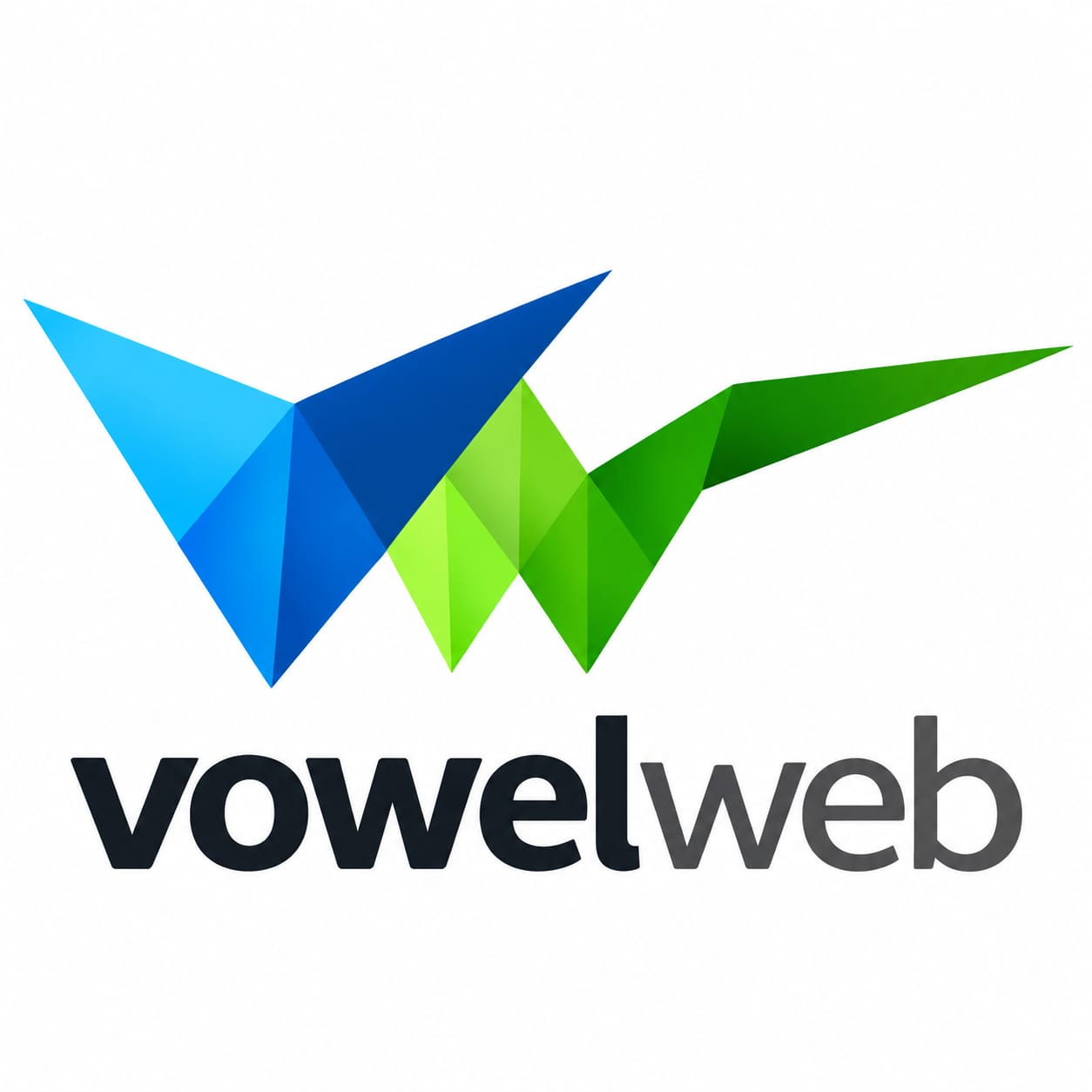 Premium Shopify Themes & Ecommerce Website Templates | VowelWeb