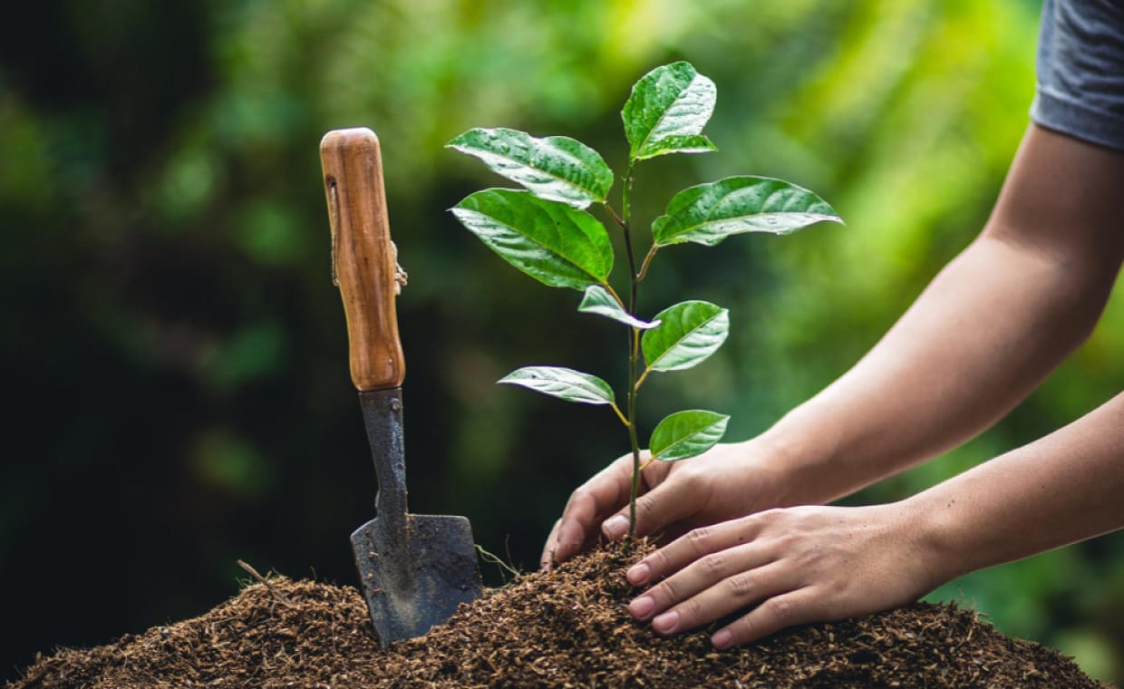 Planting Service Tenders